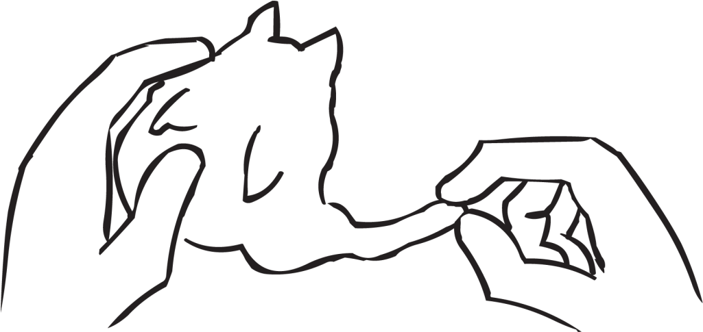 Play-dough Debrief - Sketch (1024x768), Png Download