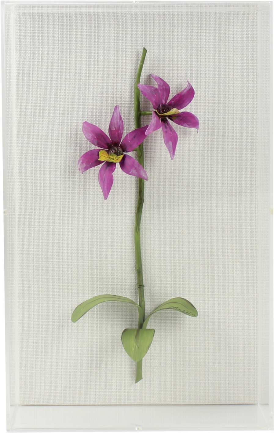 0012pos - Orchids (1000x1567), Png Download