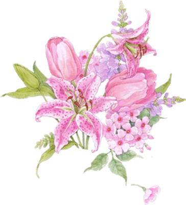 Orchids Drawing Transparent Png - Пнг Цветов (400x400), Png Download