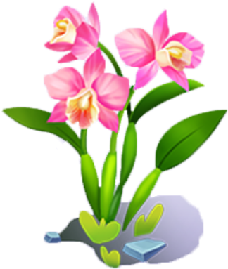 Amazonian Orchid - Orchids (418x418), Png Download