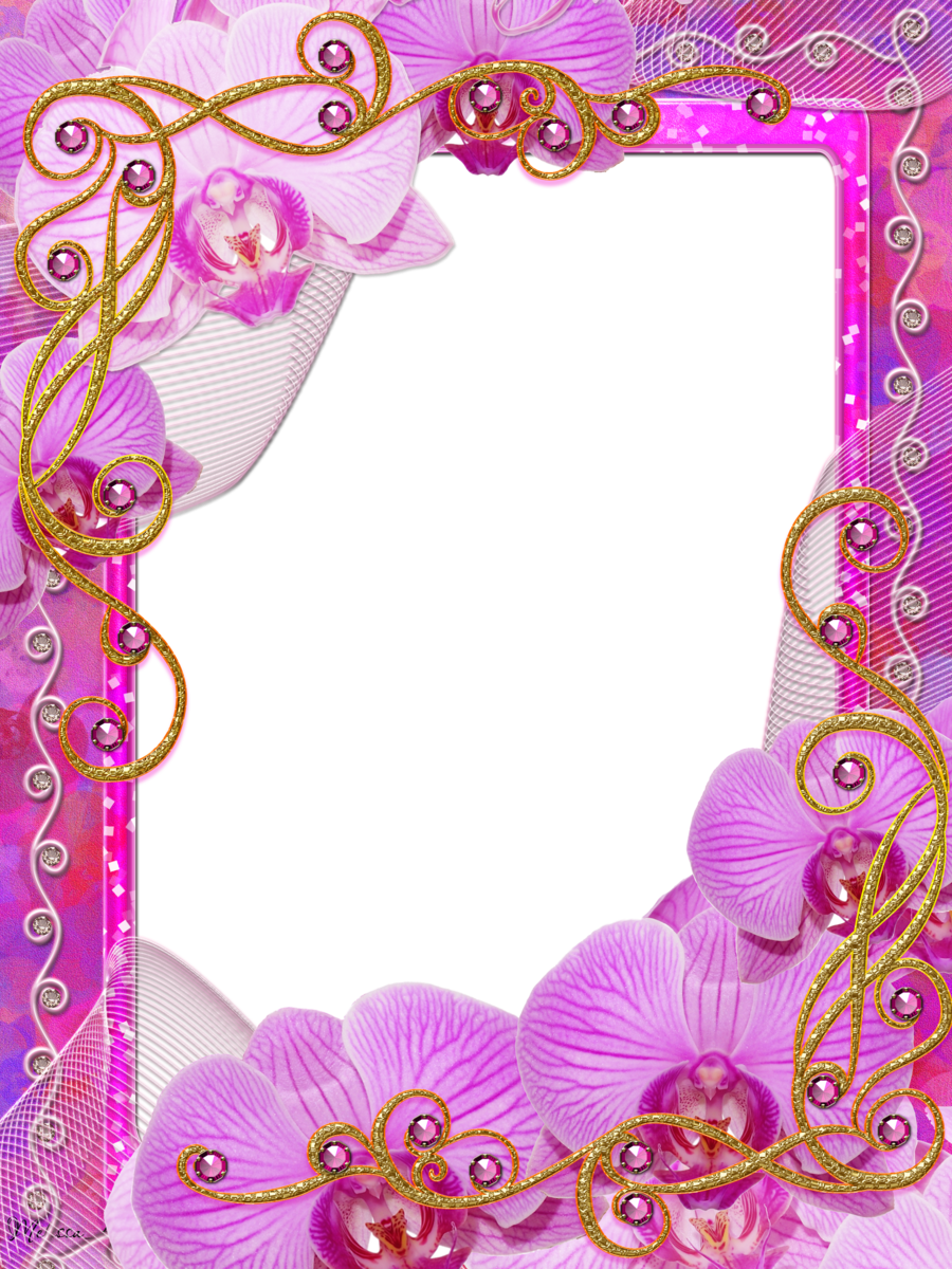 Frame Charm Of Orchids Png By Melissa-tm On Deviantart - Frame Charm (774x1032), Png Download