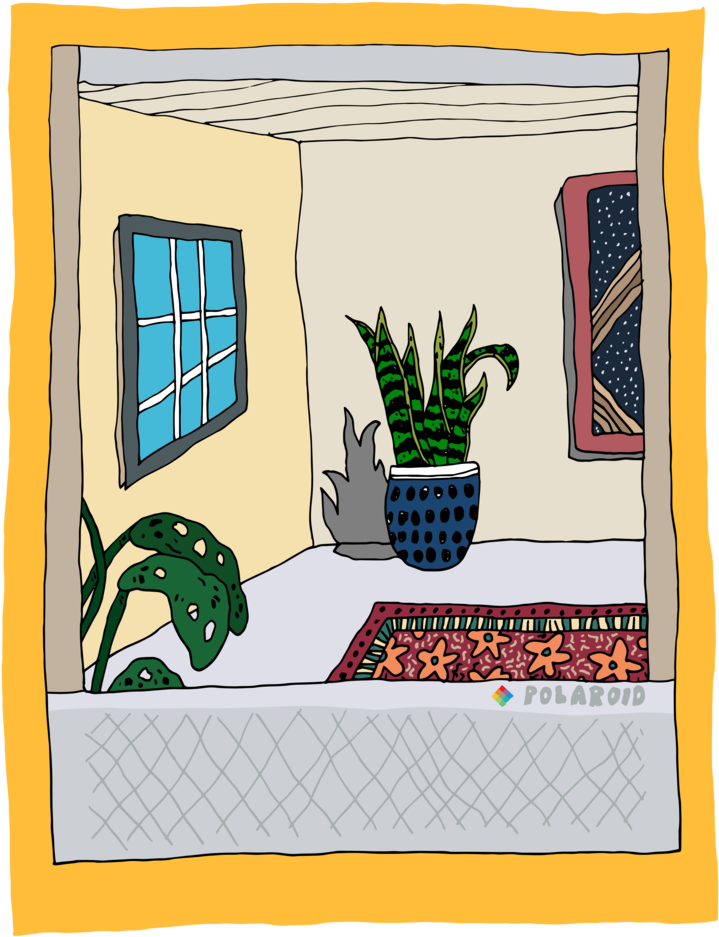 Poloro#square-01 - Portable Network Graphics (1000x1000), Png Download