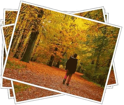 Polaroid - Autumn (420x360), Png Download