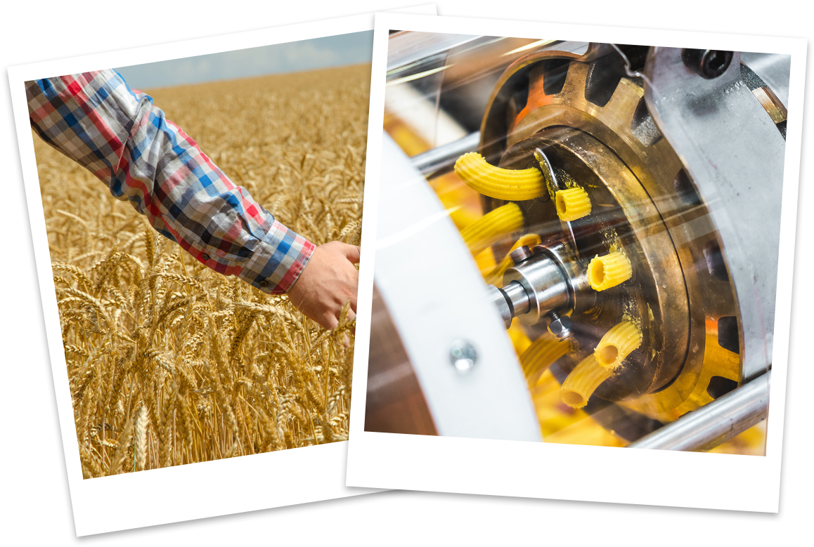 How - Industrial Pasta Cutter (1176x800), Png Download