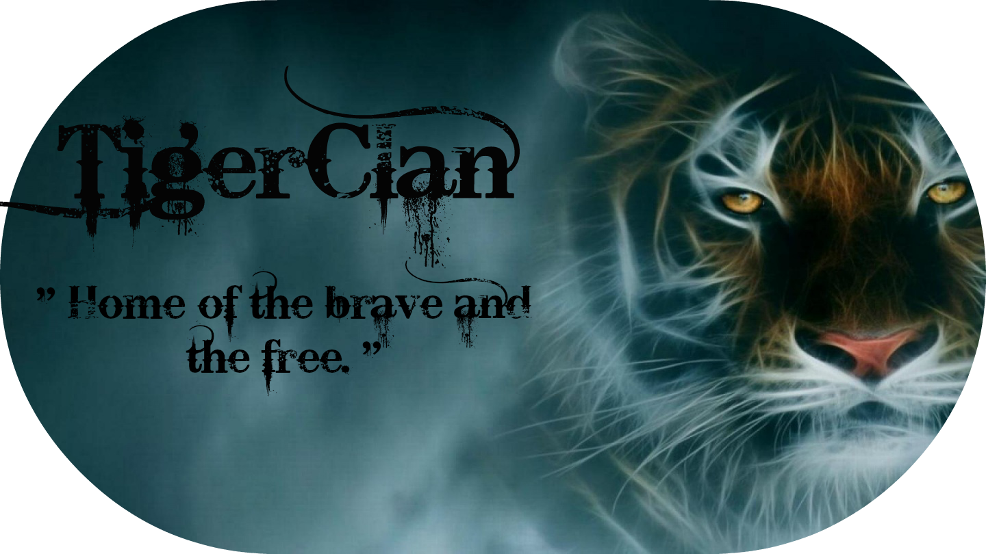 Fractal Tiger Hd Wallpaper Wallpaper 1785501883 - Tiger Photo Background Hd (1440x810), Png Download