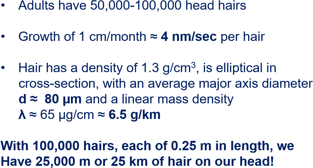 This Brings Us To An Important Point In Mathematical - Perforated Neoprene (1057x588), Png Download