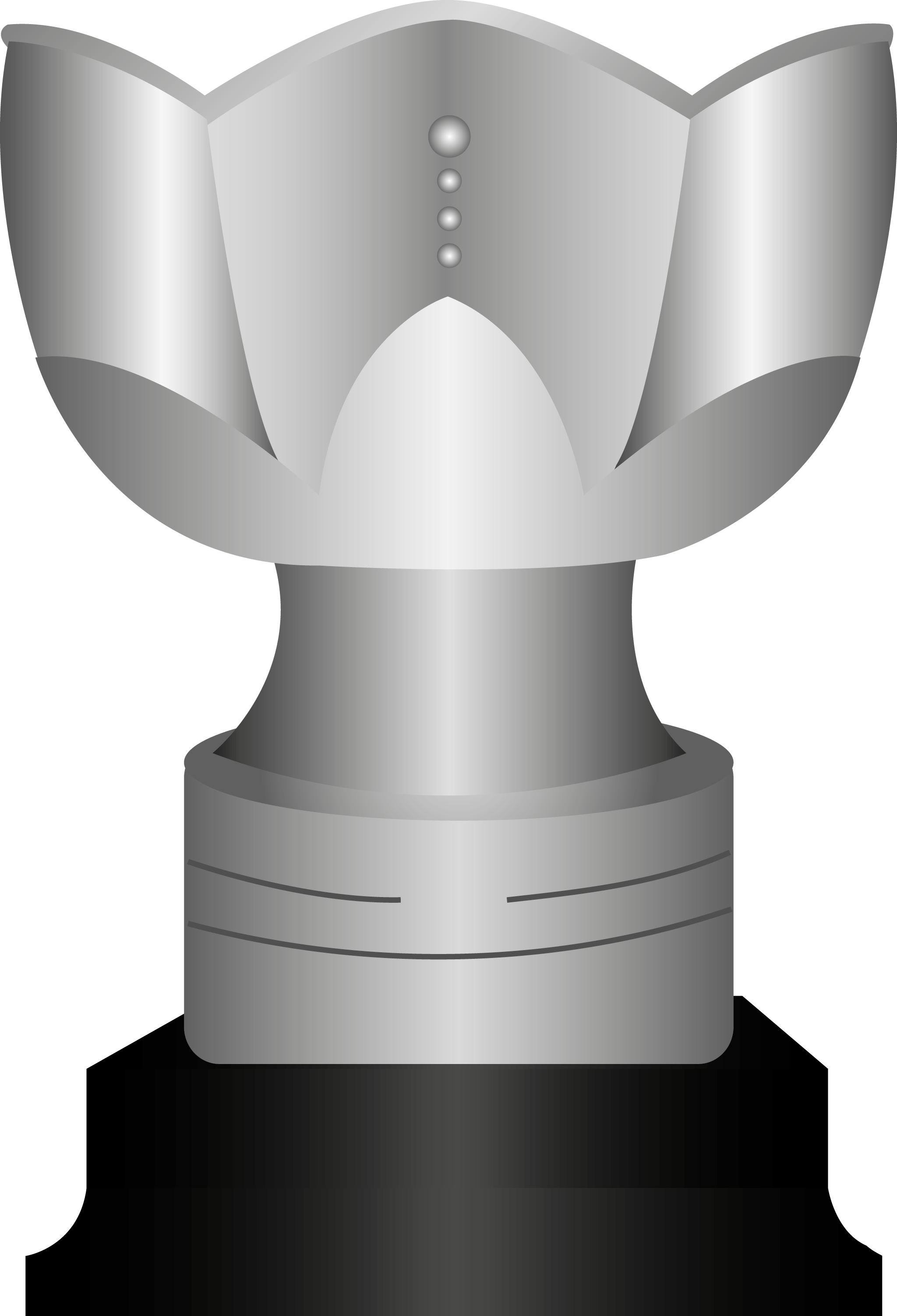 Costa Rican Cup Trophy Icon - Trophy (2048x3003), Png Download