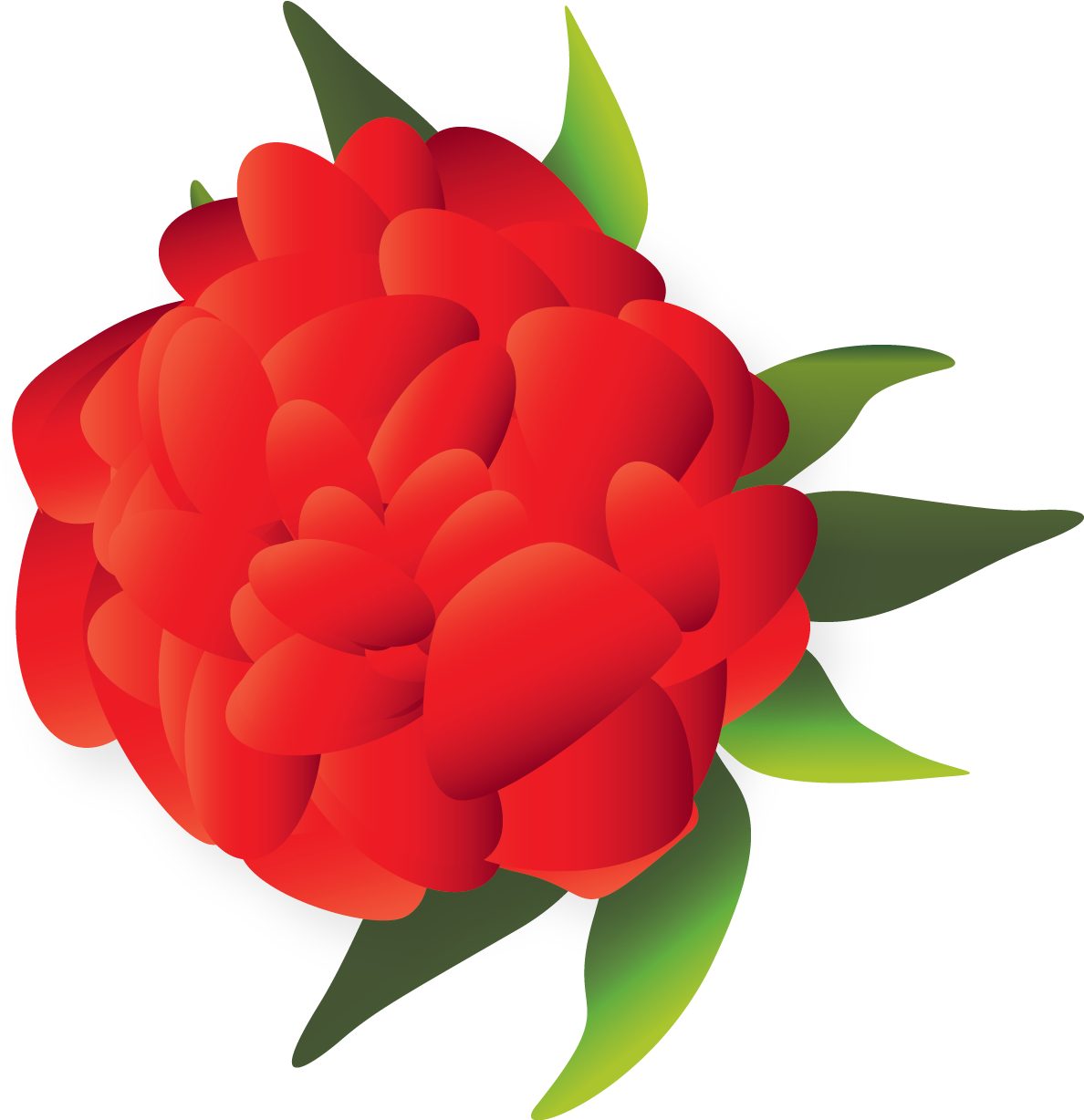 Mexican Flower Clipart Png - Mexican Flowers Clipart (1208x1227), Png Download