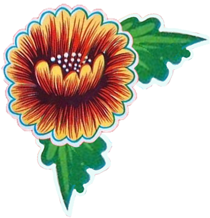 Image Stock Folk Free On Dumielauxepices Net - Tafelzeil Floral Lichtgroen Op Rol Van 11m Bij 120cm. (800x754), Png Download