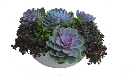 Sample Of Medium - Garden Design (500x327), Png Download