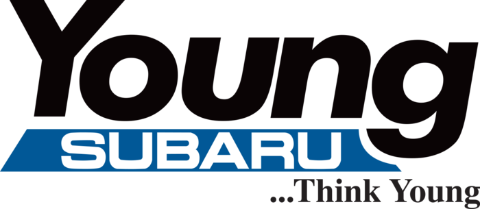 Loading - - Young Ford Brigham City (700x305), Png Download