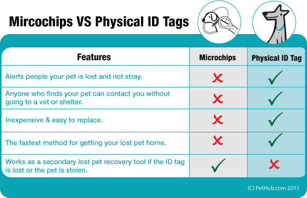The Information On The Microchip Is Not Up To Date - Pet Microchip Info (620x401), Png Download