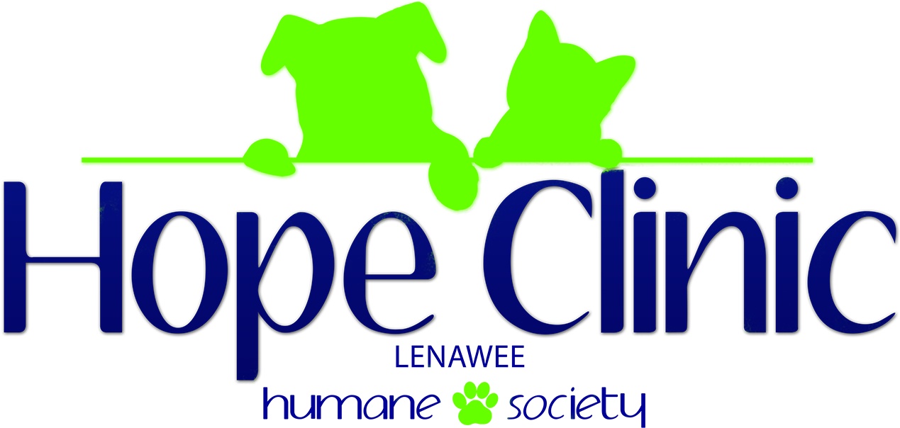 Microchipping - Purple Ninja Justin Bieber (1338x640), Png Download