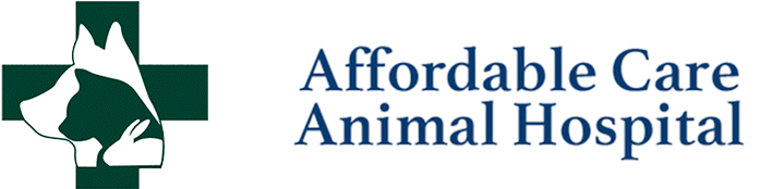 Affordable Care Animal Hospital Long Beach - Affordable Animal Hospital Long Beach Logo (700x200), Png Download