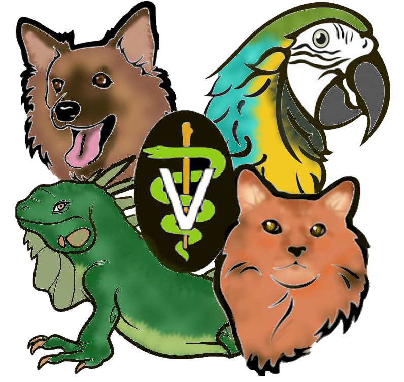 Special Services - Animal Medical Hospital Of Centereach (796x753), Png Download