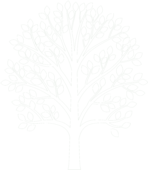 Big-tree - Vector Graphics (1000x600), Png Download