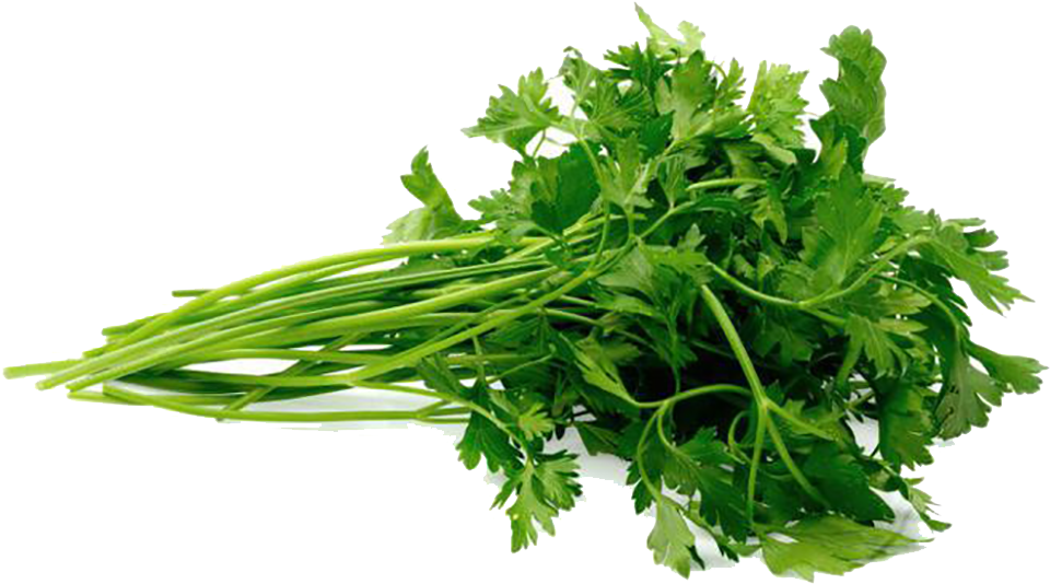 Organic-parsley - Fresh Parsley (1000x850), Png Download