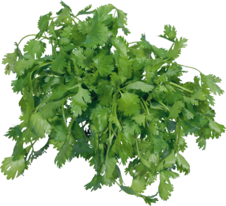 For A Bold Taste - Parsley Plant Png (458x417), Png Download