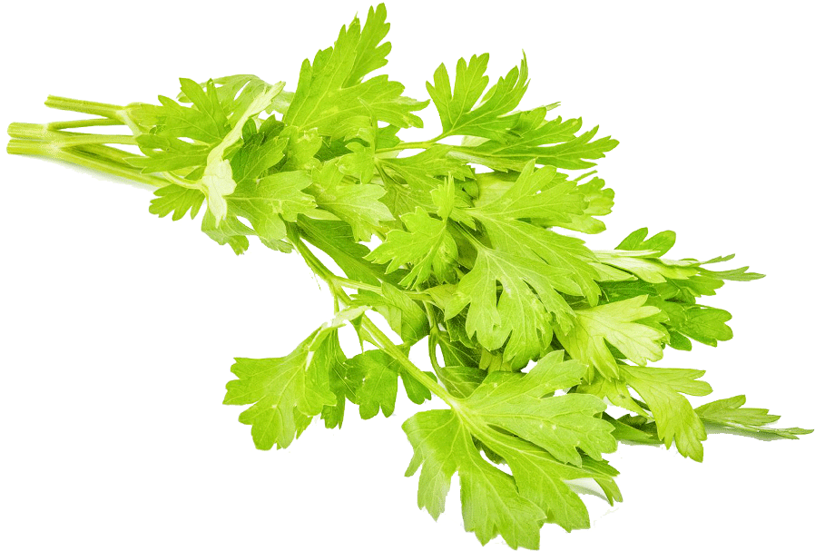Parsley 1 Kg - Fresh Parsley Walmart (1000x1000), Png Download
