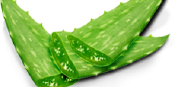 Aloe Png Hd - Mancine Kiwi And Aloe Hard Wax 500 Gm (650x300), Png Download