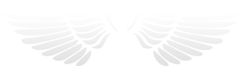 Angel Networks - Black And White Angel Logo (500x278), Png Download