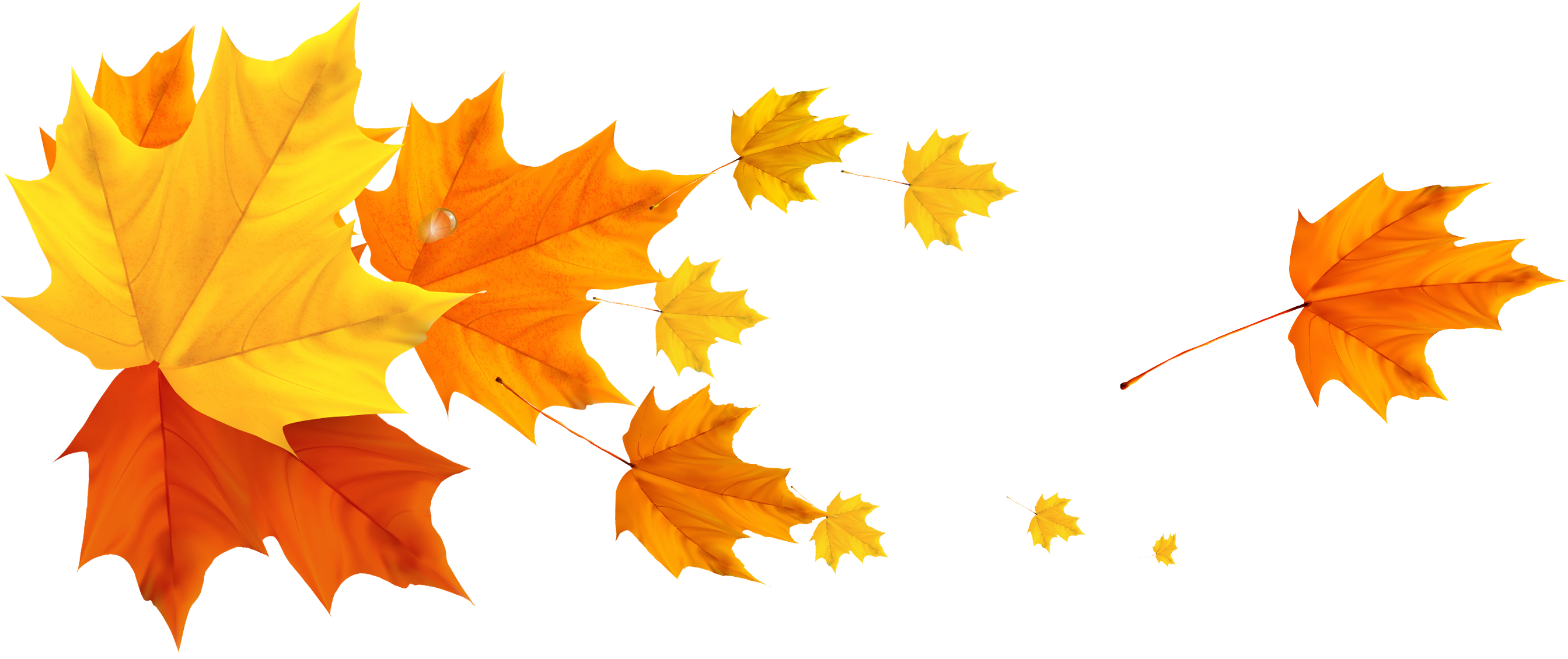 Fall Leaf Png Border Download - Leafs Png (2900x1256), Png Download
