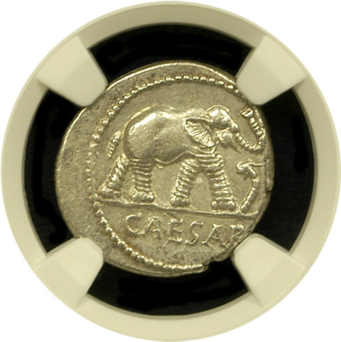 Julius Caesar Silver Denarius Ngc About Uncirculated - Silver (500x500), Png Download