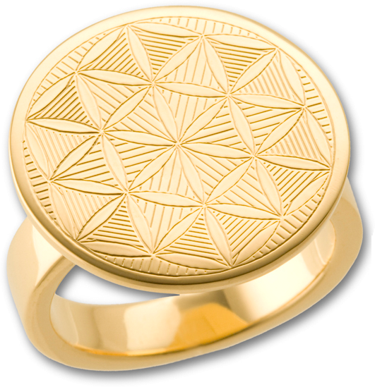 Highchi Sacred Geometry Energy Jewelry - Sacred Geometry (531x549), Png Download