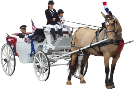 Horse And Carriage Png (500x337), Png Download