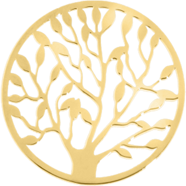 "tree Of Life" Cover Insignia 24mm - Circle (800x800), Png Download