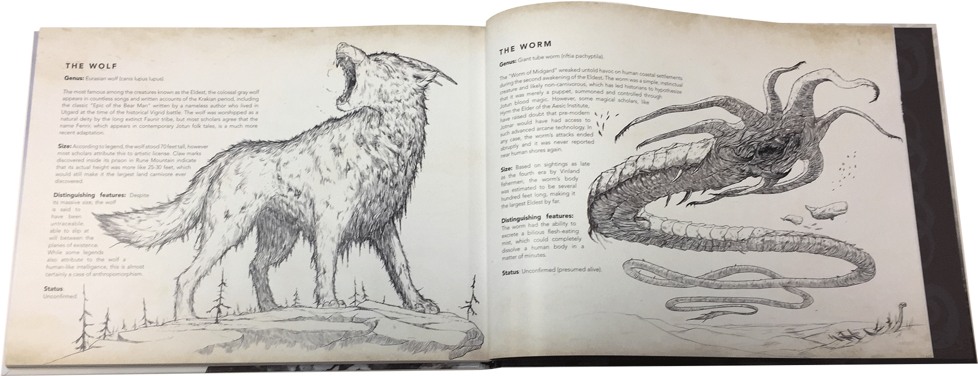 Fall Of Gods - Publishing (2000x2000), Png Download