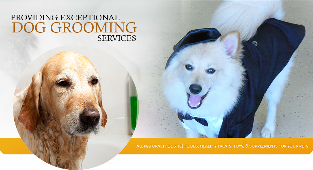 Welcome To Happy Dog Wash - Companion Dog (1000x545), Png Download