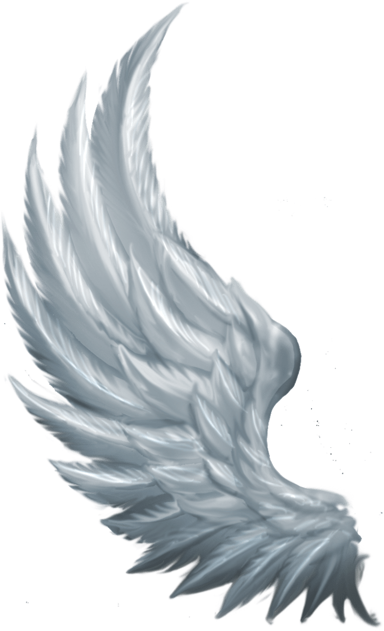 Side Angel Wings Png (761x1235), Png Download