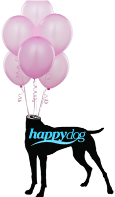 Happy Dog Gallery - Ruffwear Cloud Chaser Size (400x400), Png Download