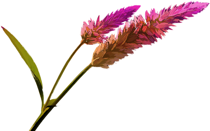 Painting, Scrapbook, Art, Creative, Flower - Portable Network Graphics (960x656), Png Download