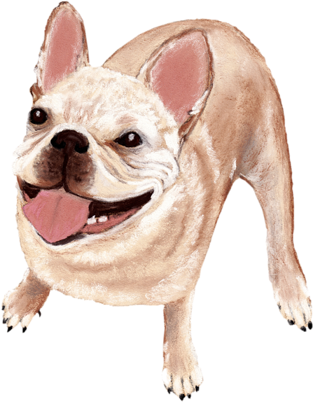 Click And Drag To Re-position The Image, If Desired - Dog (555x700), Png Download