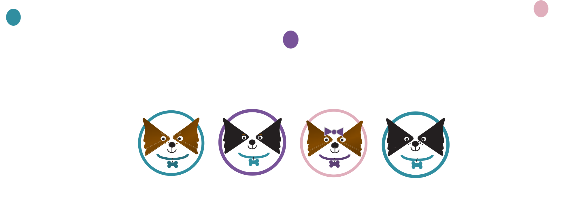 A Studio Inspired By Imagination And A Dog - Graphic Design (2400x1000), Png Download
