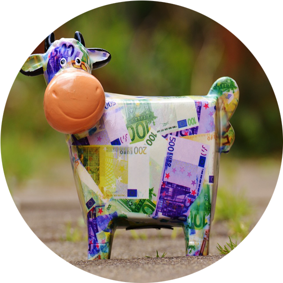 10 Cow New - 500 Euro (576x576), Png Download