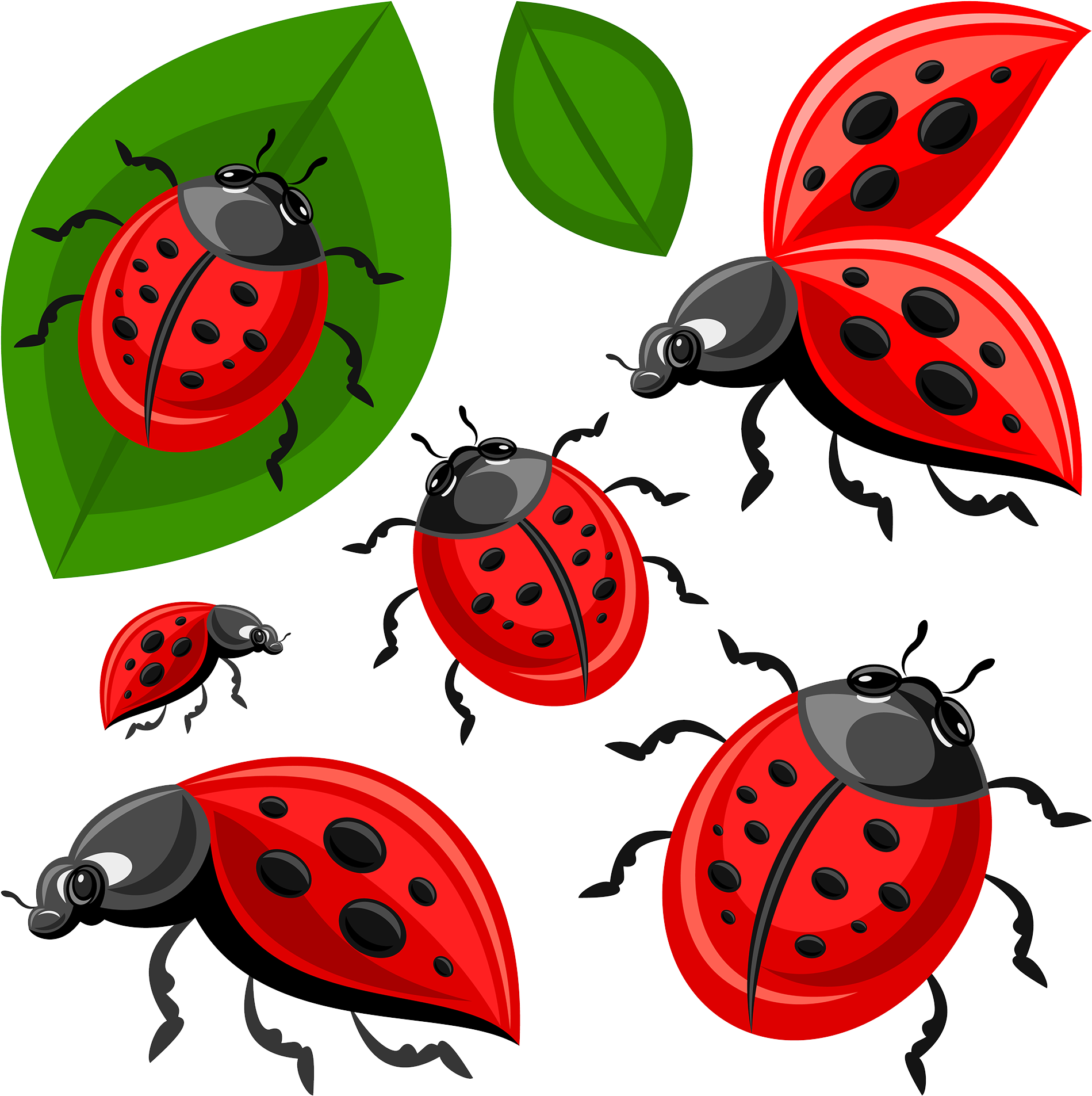 Ladybird Beetle Clip Art Ladybug Transprent Png - Ladybird Beetle (2000x2000), Png Download
