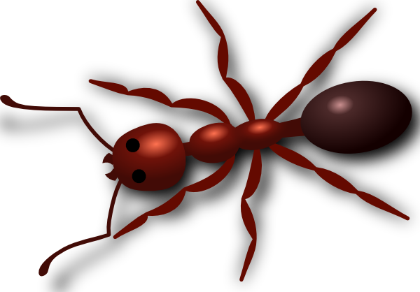 Ant Clip Art At Clker Com Vector - Red Ant Clip Art (600x418), Png Download