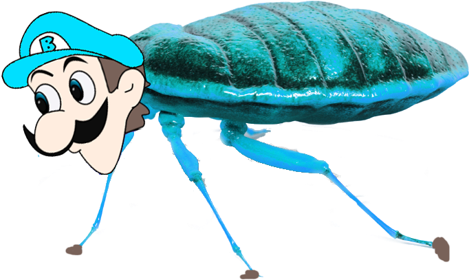 Beeg Bug - Agropharm Bed Bug Killer Treatment Kit (4 Bedroom) (840x571), Png Download