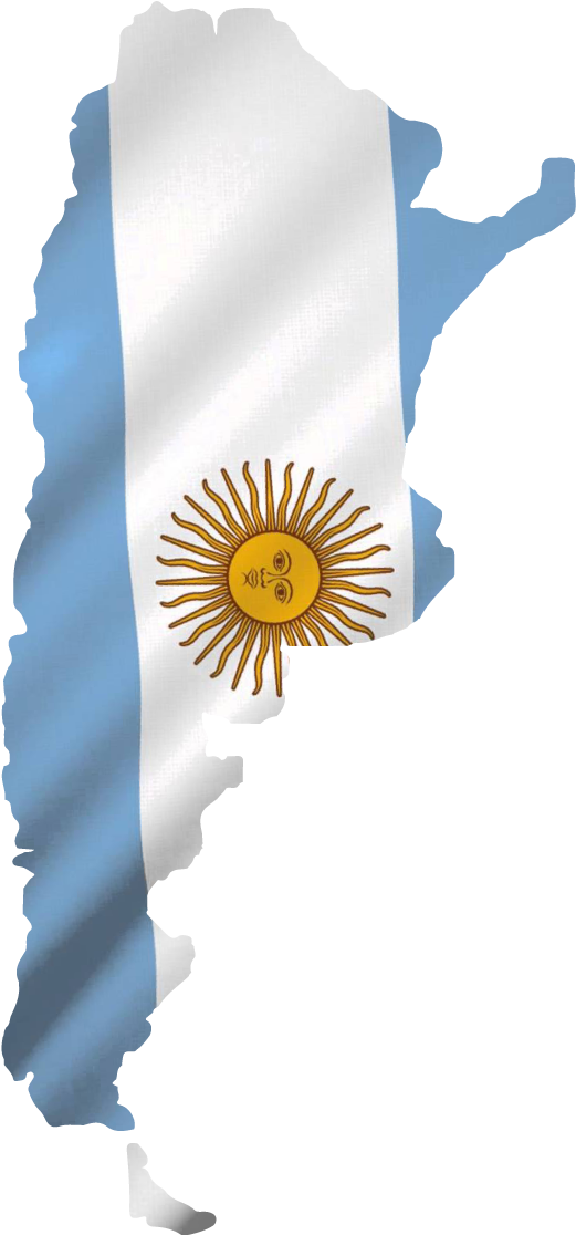 Argentina - Flag (601x1135), Png Download