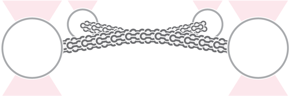 C Trap Filament Filament Interactions - Chain (1140x360), Png Download