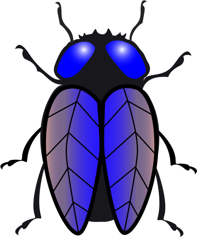 Bug - Clipart Tsetse Fly (669x800), Png Download