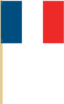 France Cotton Stick - Transparent France Flag Png (460x368), Png Download