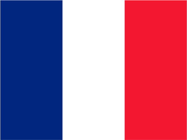 Flag Of French Guiana Logo Png Transparent - France Alternate Flag (2400x1800), Png Download