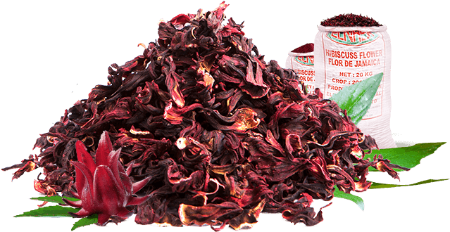 Hibiscus Whole Flower - Jamaica Flor Png (750x763), Png Download