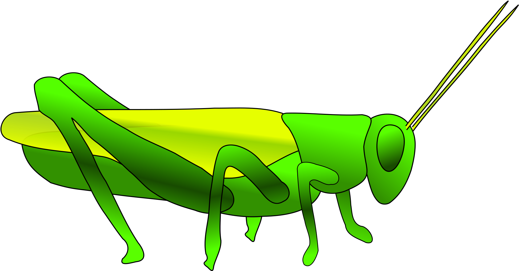 Grasshopper Png Hd - Cricket Animal Clip Art (2400x1680), Png Download