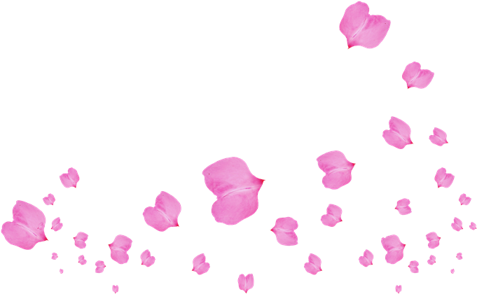 Petal (700x700), Png Download