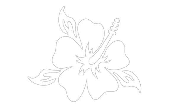 Hibiscus With Leaves $4 - Hibiscus (584x368), Png Download